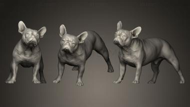 3D model DOG B27 (STL)